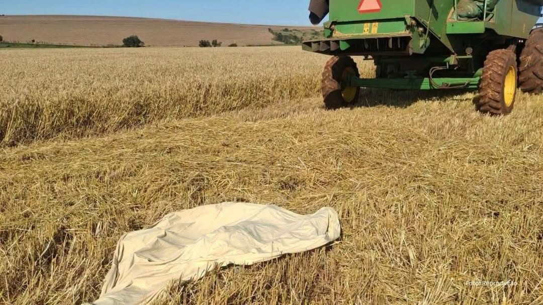 Agricultor morre esmagado por colheitadeira durante colheita de trigo
