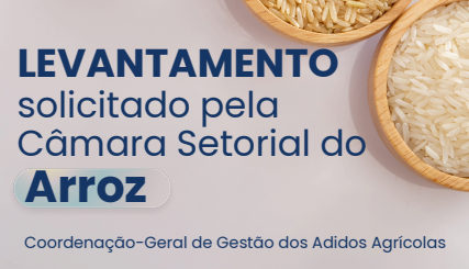 Arroz gaúcho: estudo aponta novos mercados e desafios para exportação na Zona Sul