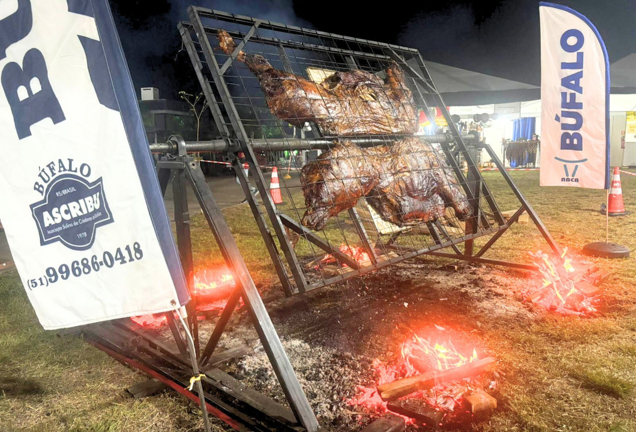Assado de búfalo esgota em menos de uma hora durante festa em Passo do Sobrado