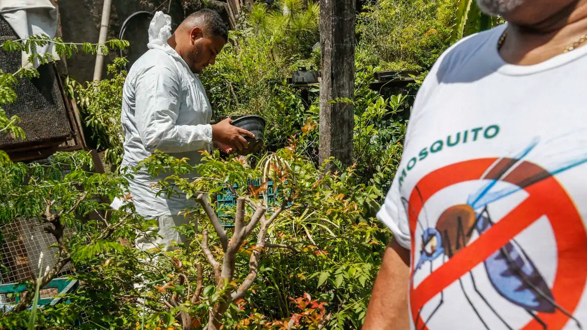 Brasil registra mais de 2 milhões de casos de dengue