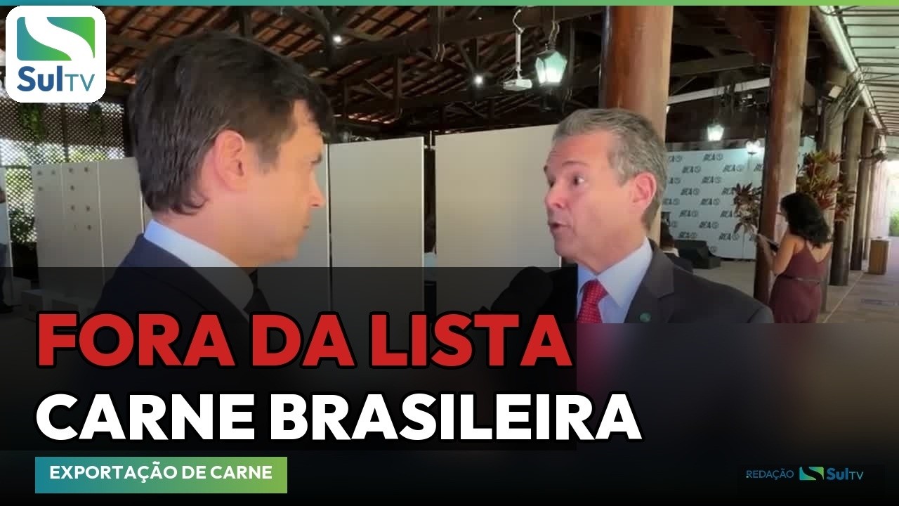 Brasil tem até 3 de setembro para atender exigências da UE e retomar exportação de carne bovina