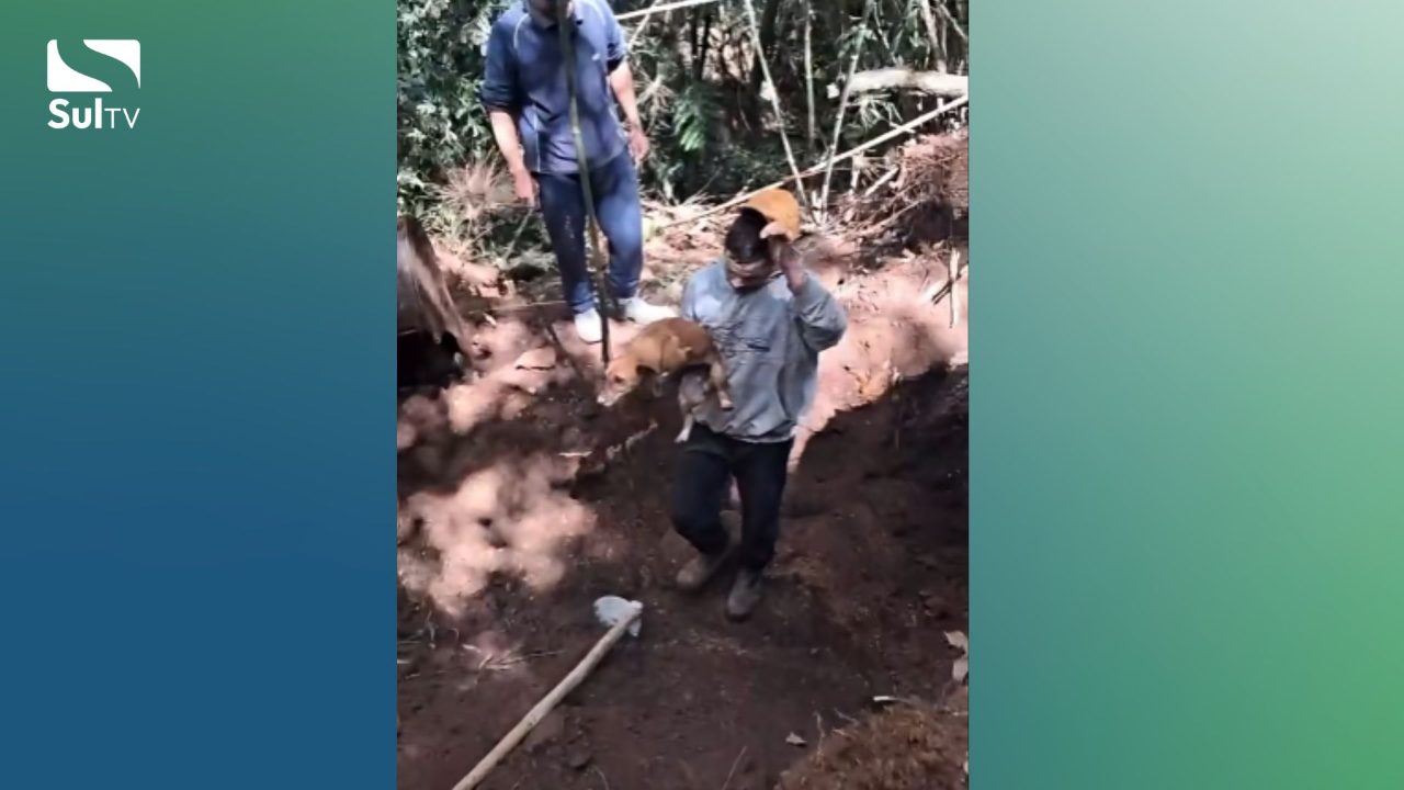 Cadela presa em rocha na Bandeirinha é resgatada em Camaquã