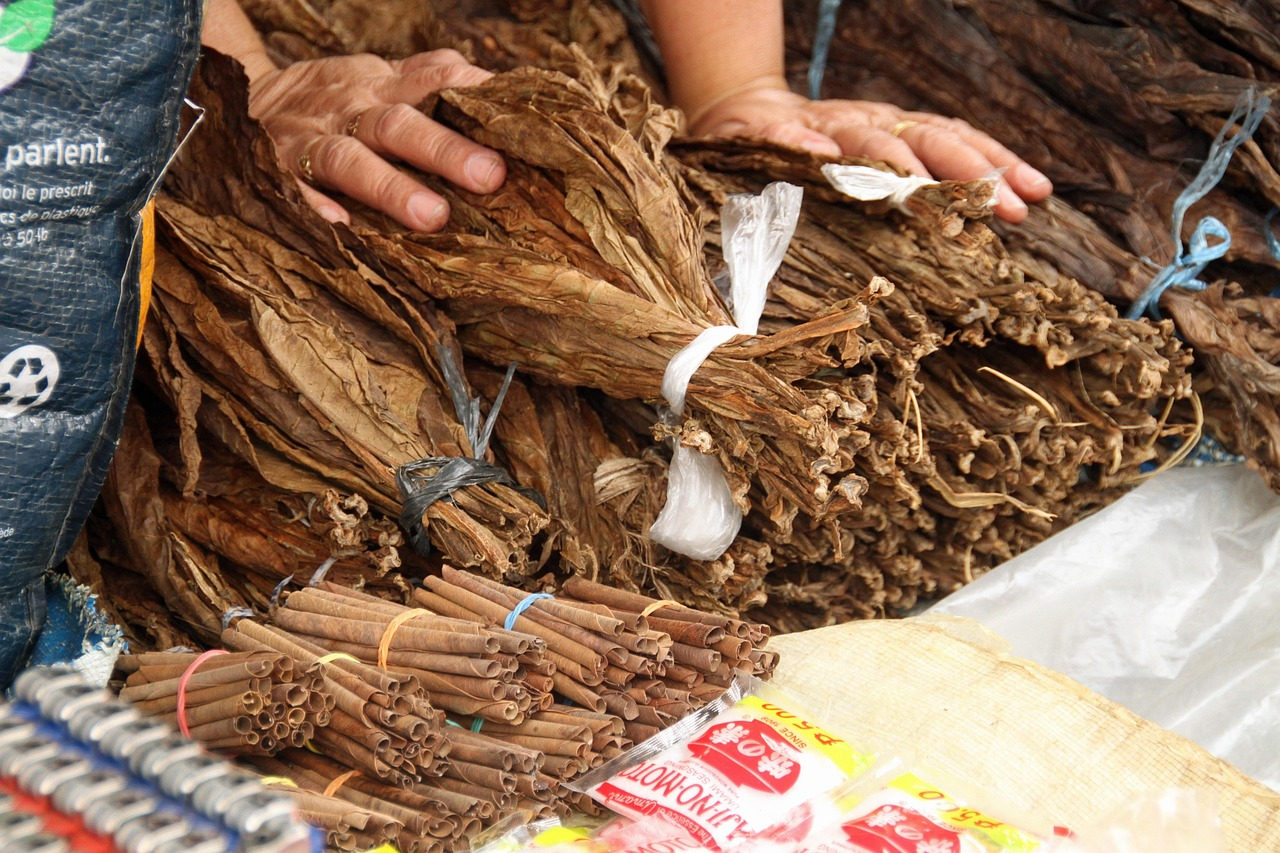 Camaquã sedia manifesto regional em defesa da economia e dos produtores de tabaco