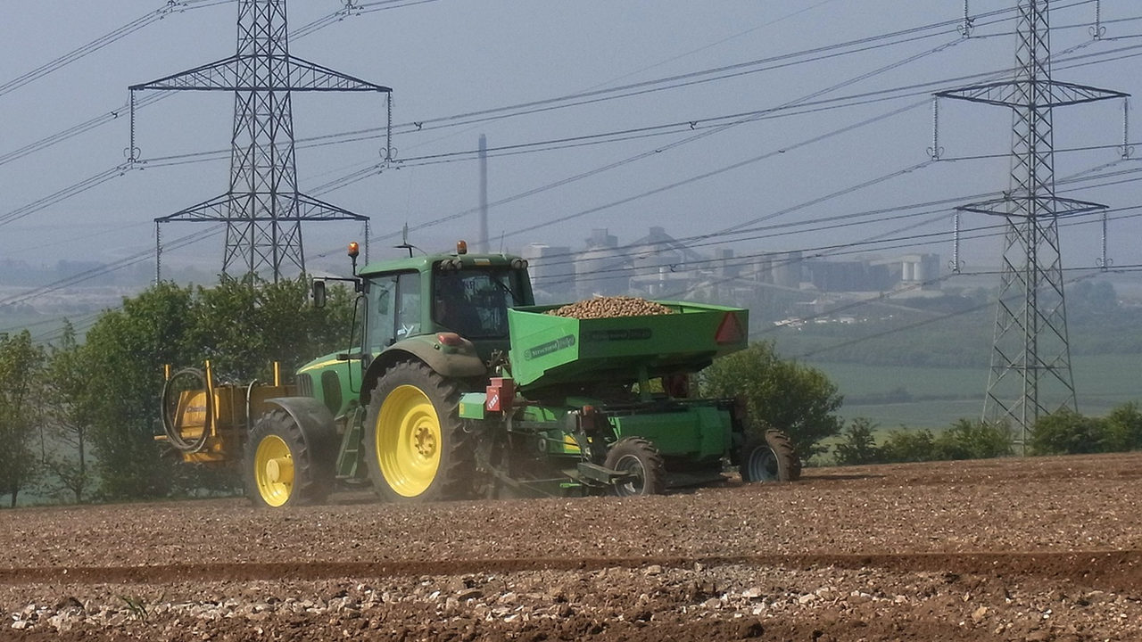 Canguçu abre encomendas de sementes de batata para produtores