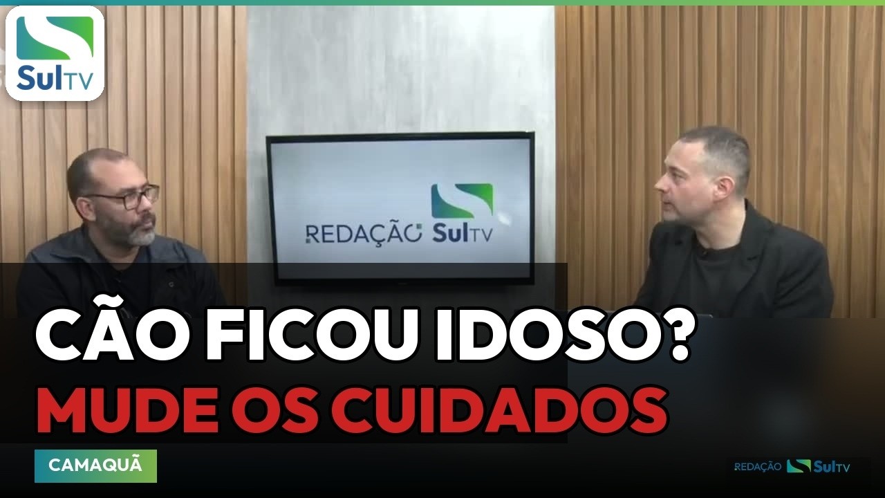 Cão idoso exige cuidados diferentes do filhote, explica adestrador de Camaquã