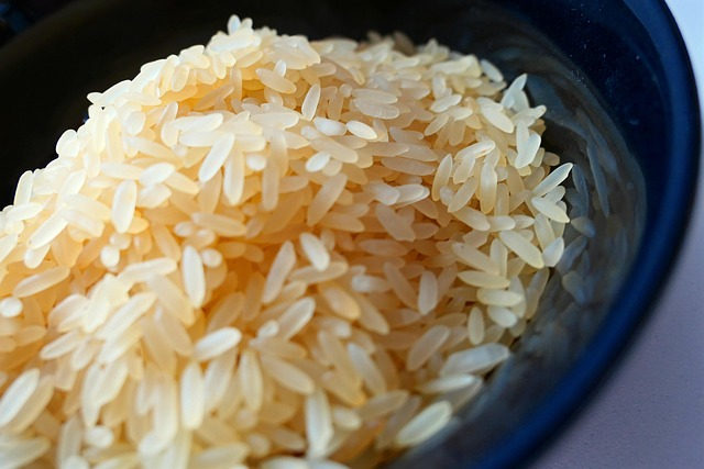 Capacitação em Camaquã ensina novas receitas à base de arroz para merenda escolar