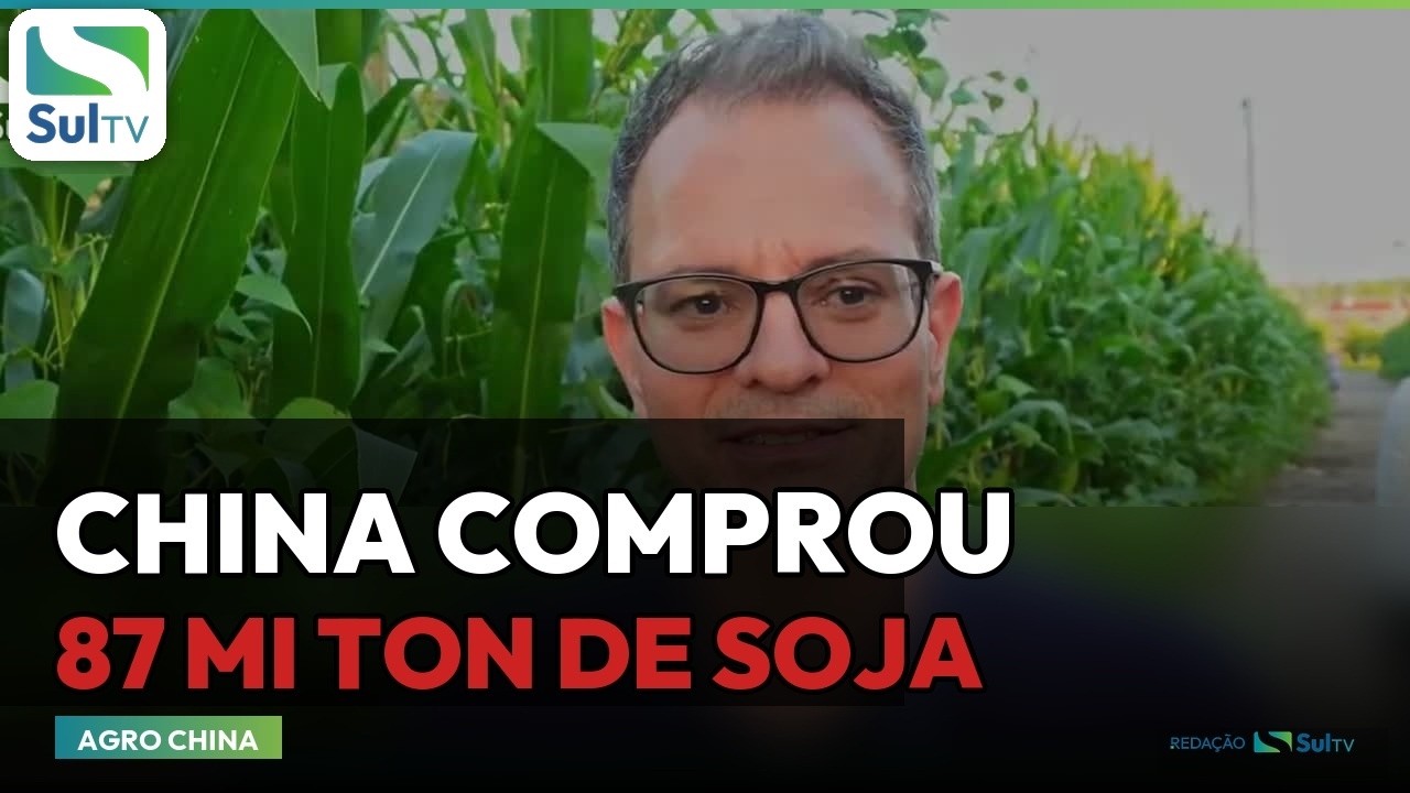 China comprou 87 milhões de toneladas de soja do Brasil, mostra reportagem do Canal Rural