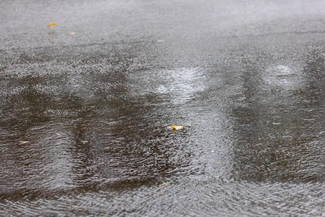 Chuva e vento derrubam árvores e bloqueiam trechos de rodovias no RS