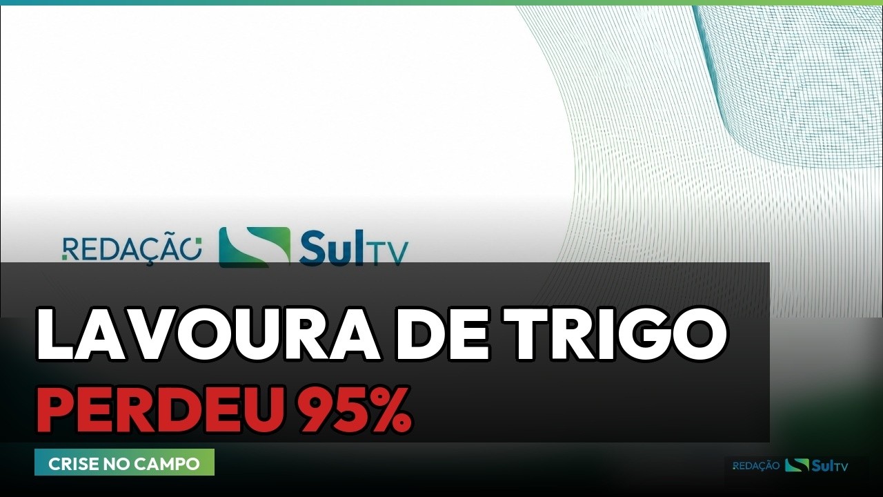 Reprodução/SulTV