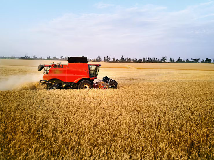Colheita de arroz atinge 90% no RS com produtividade de 8,3 mil kg por hectare