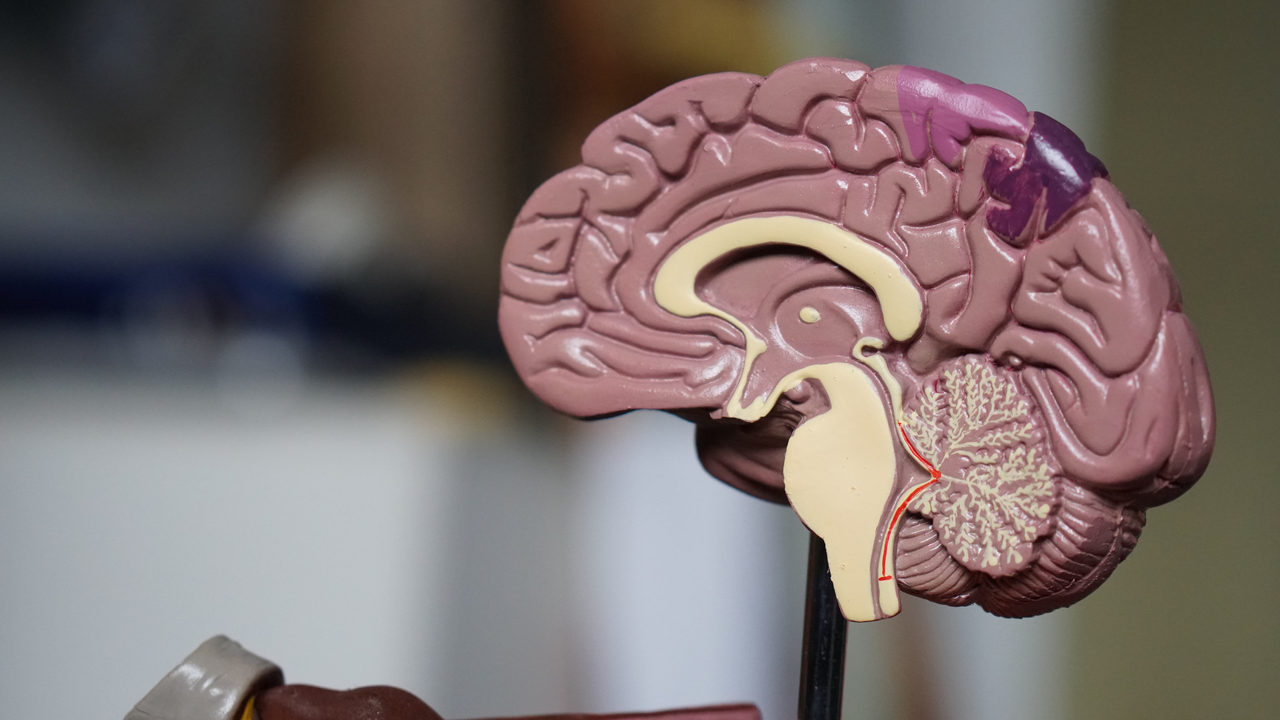 Meningite: você sabe o que é?