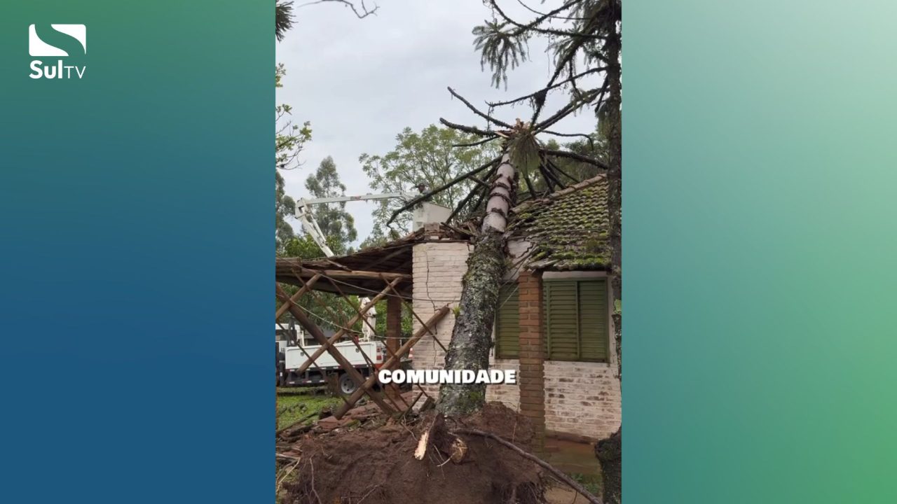 Defesa Civil de Camaquã faz mutirão após vendaval e mantém alerta ativo