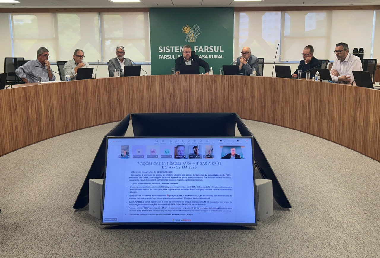 Entidades arrozeiras articulam medidas para enfrentar crise e endividamento do setor no RS