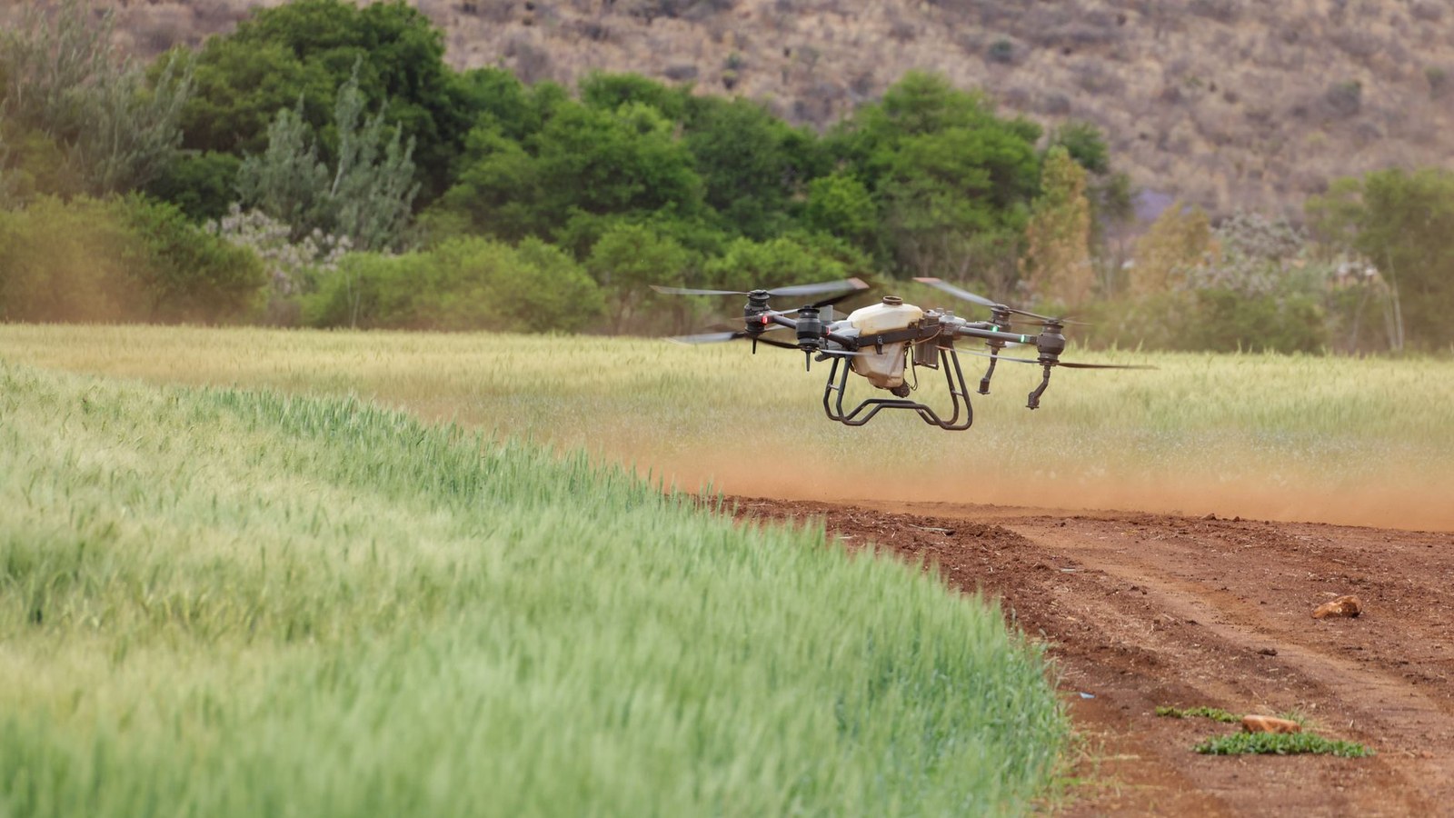 Tecnologia no campo: a inovação do agro ganha palco próprio na Trilha Agro South Summit, na Expointer 2026 (imagem ilustrativa)