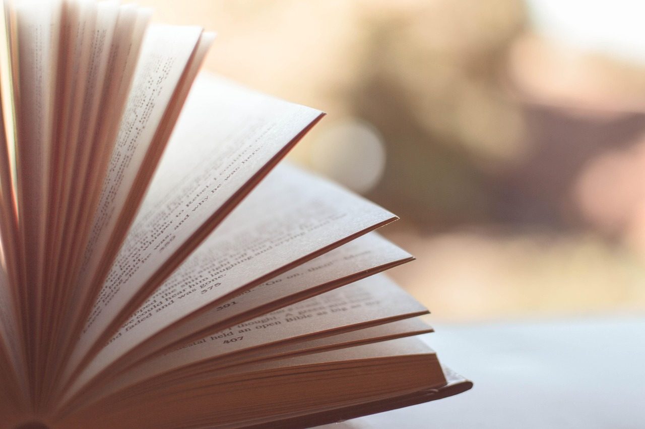 Feira do Livro de Arambaré terá lançamento de obra infantil sobre amizade e respeito aos animais