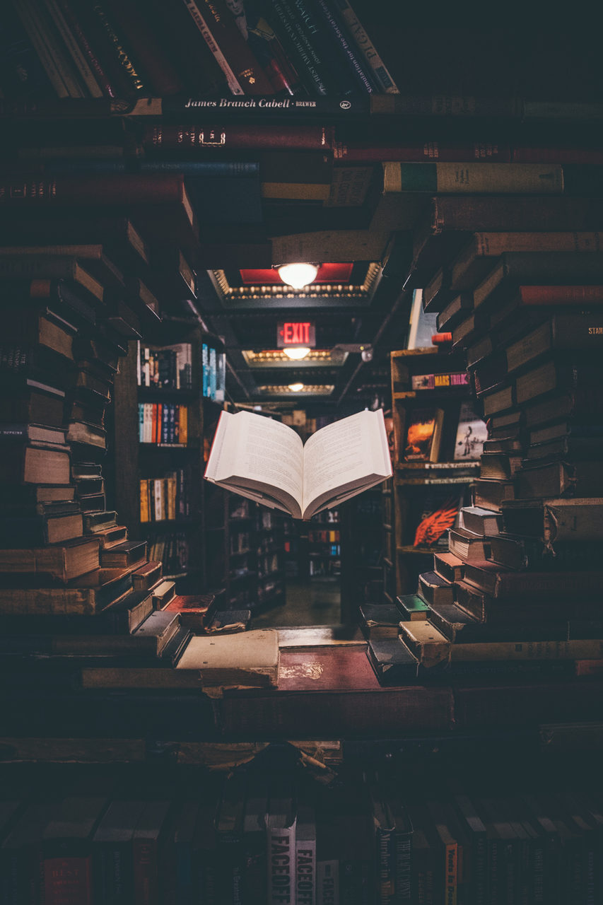 Feira do Livro reúne artistas e escolas em Camaquã