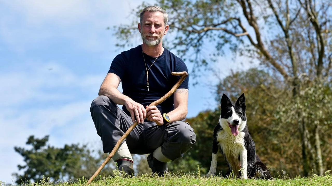 Border Collie conduz rebanho de ovelhas em campo aberto, cena típica das provas de pastoreio.