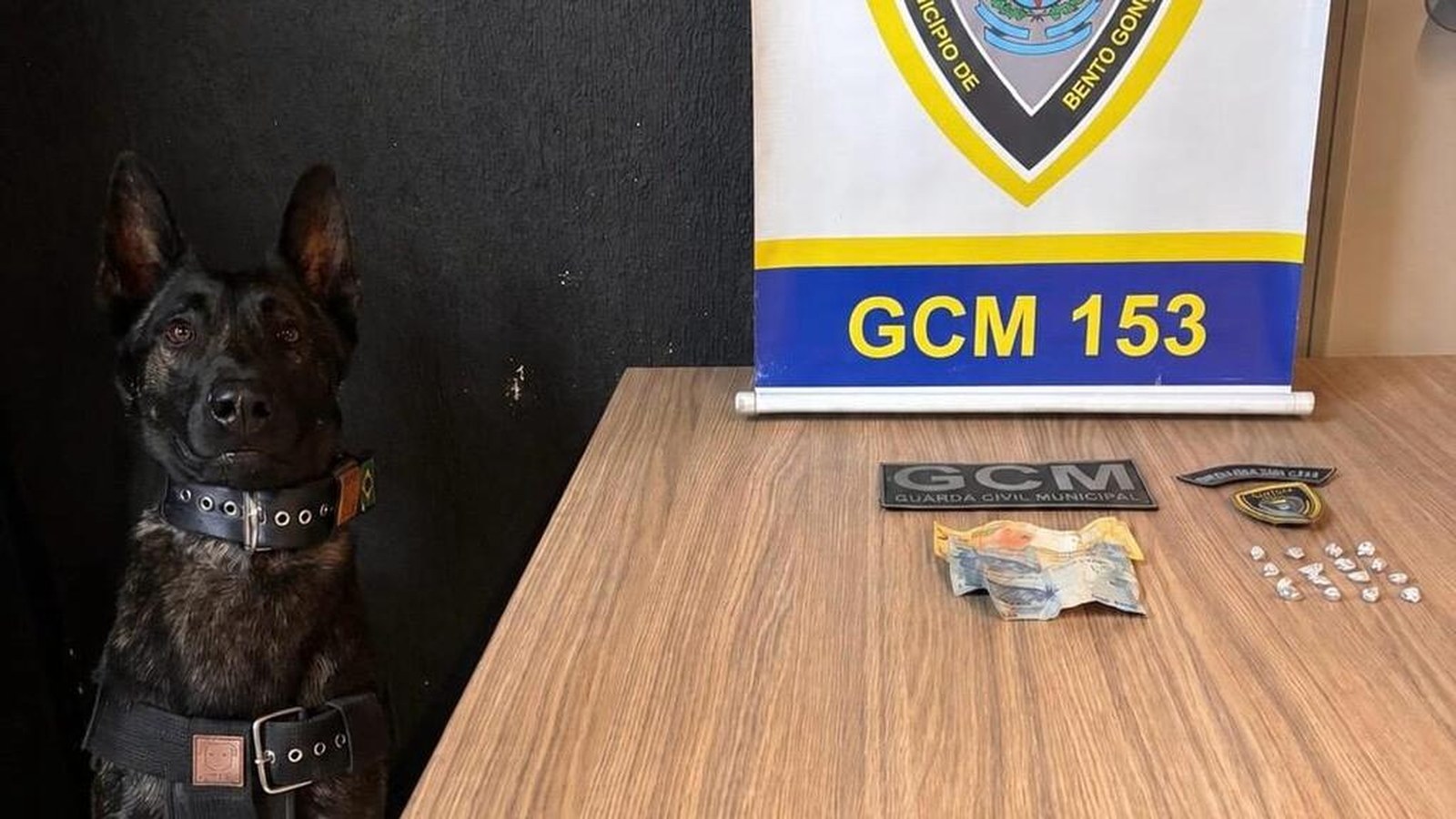 GCM apreende 16 porções de droga em Bento Gonçalves