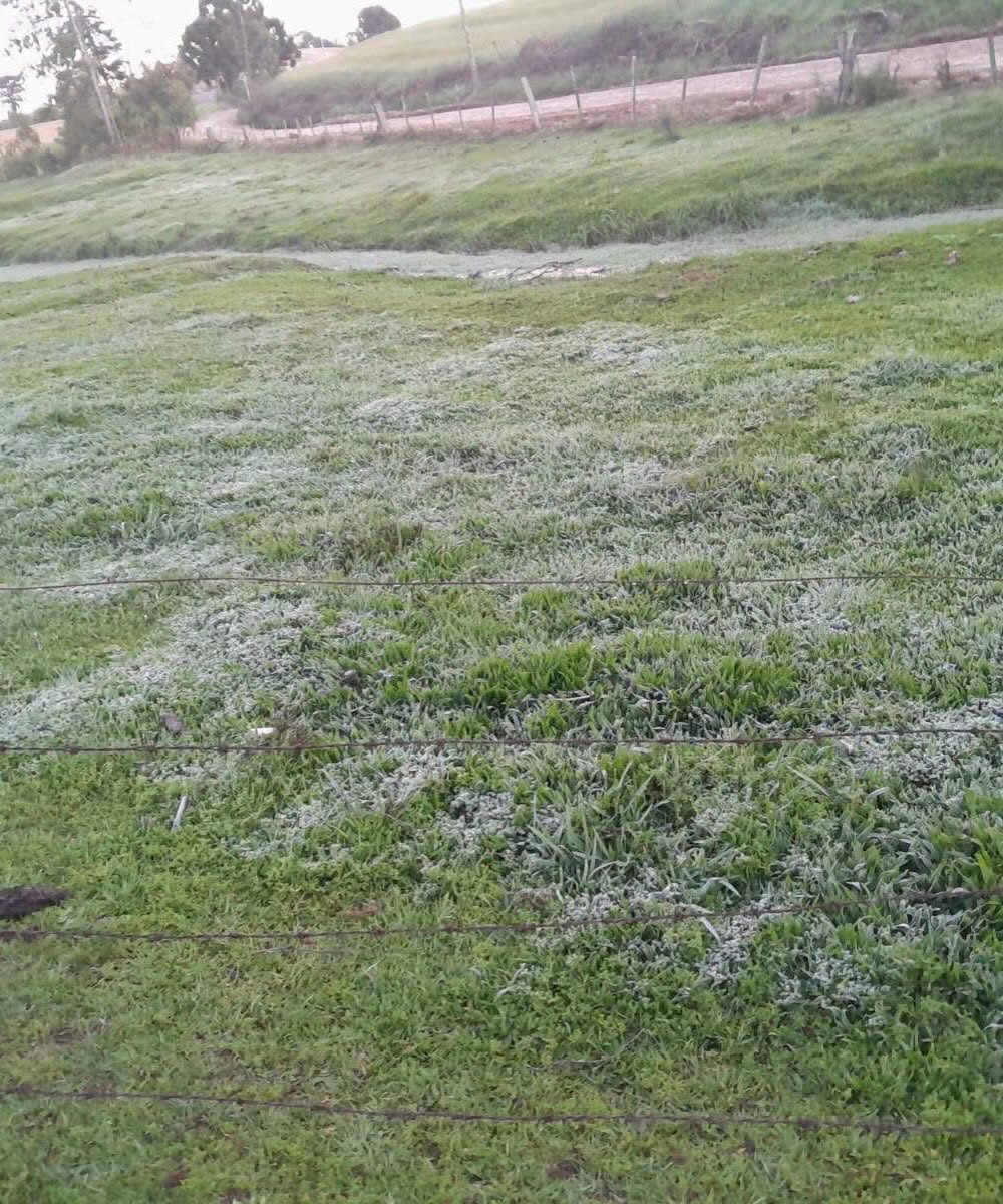 Geada fora de época surpreende o Sul e liga alerta nas lavouras da Costa Doce