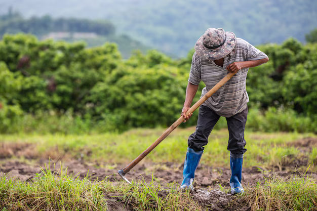 Governo autoriza bônus e amplia prazos de financiamento para produtores rurais