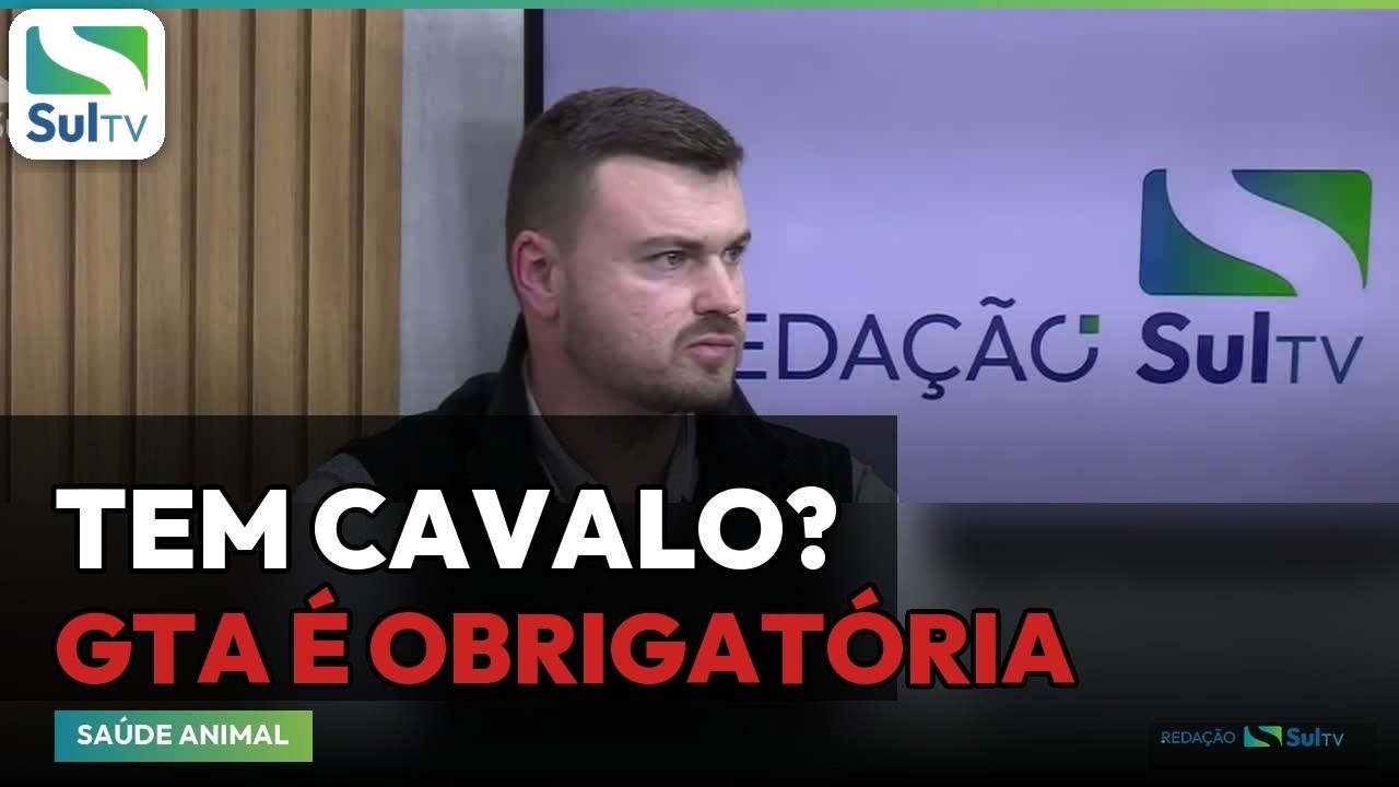 GTA e exame de anemia: o que o dono de cavalo precisa ter em dia antes dos desfiles farroupilhas