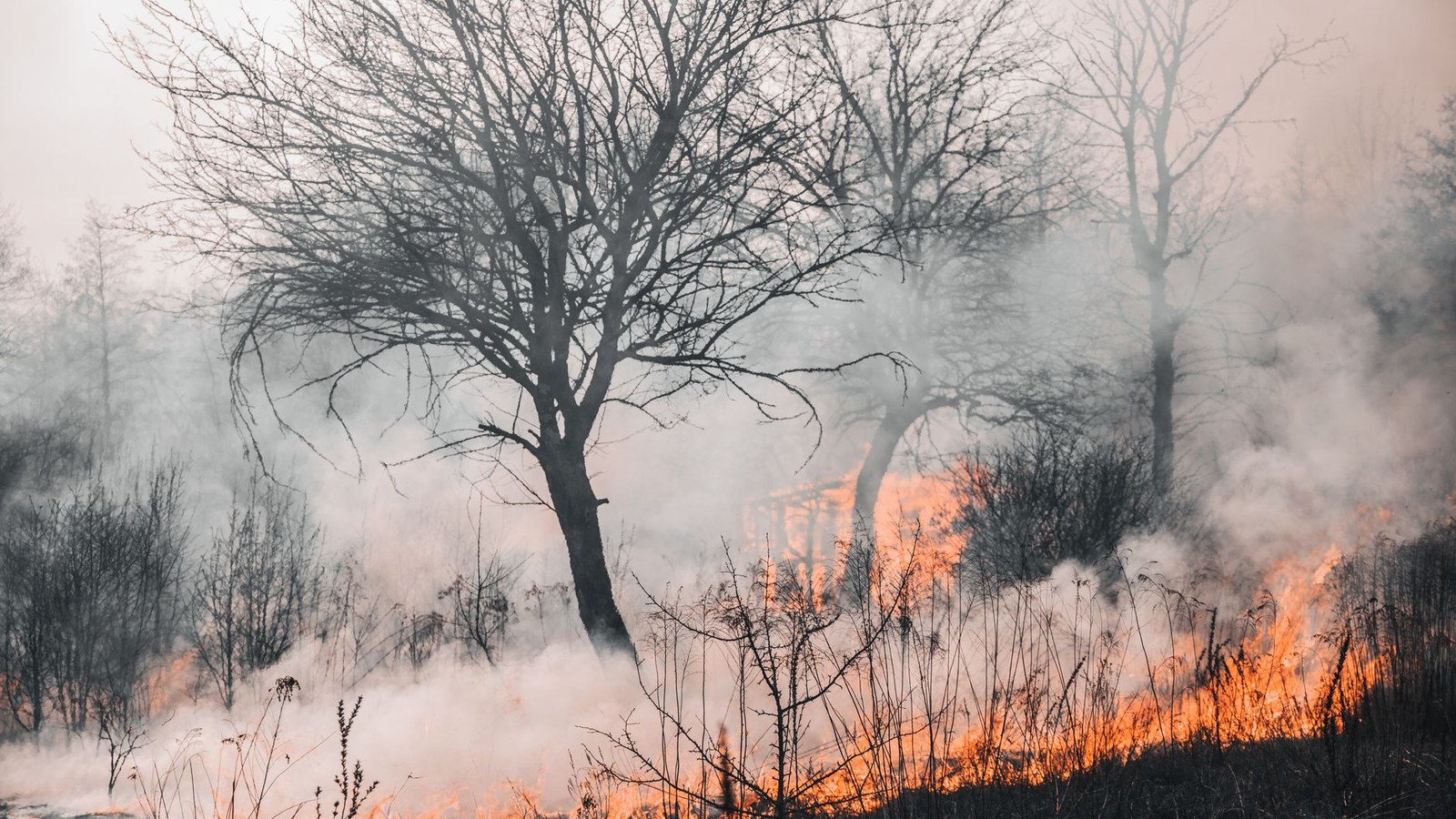 Fumaça densa cobre Palangka Raya, na Indonésia, em meio à crise de incêndios agravada pelo El Niño.