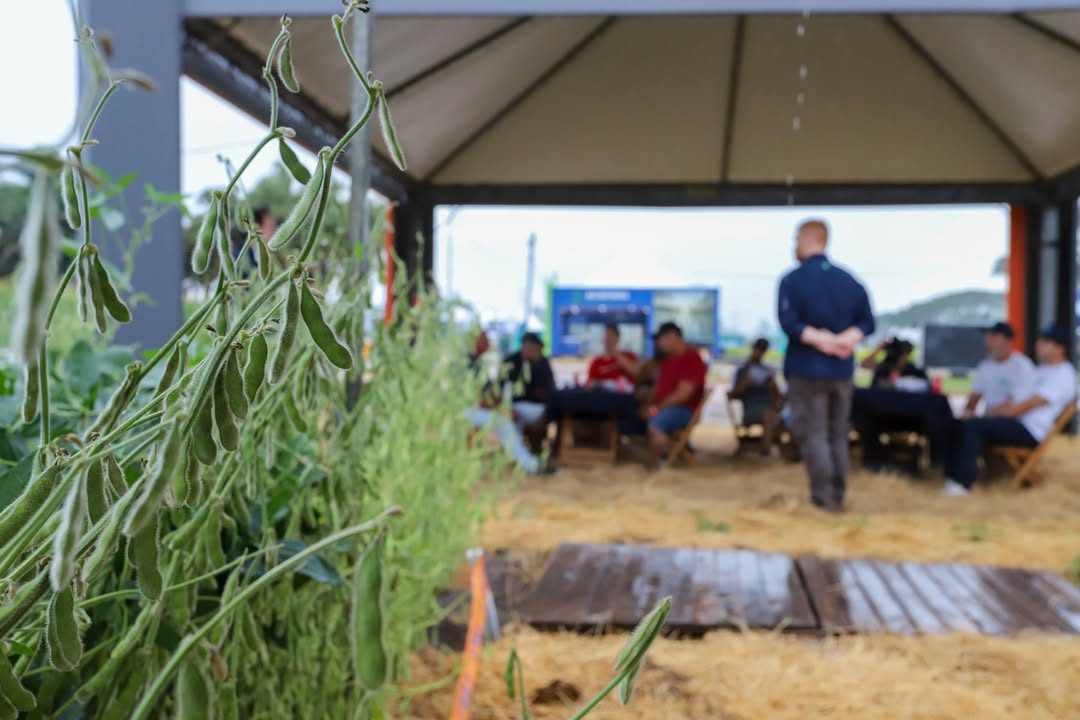 Inteligência Artificial e startups dominam debates na Arena de Inovação da Colheita do Arroz