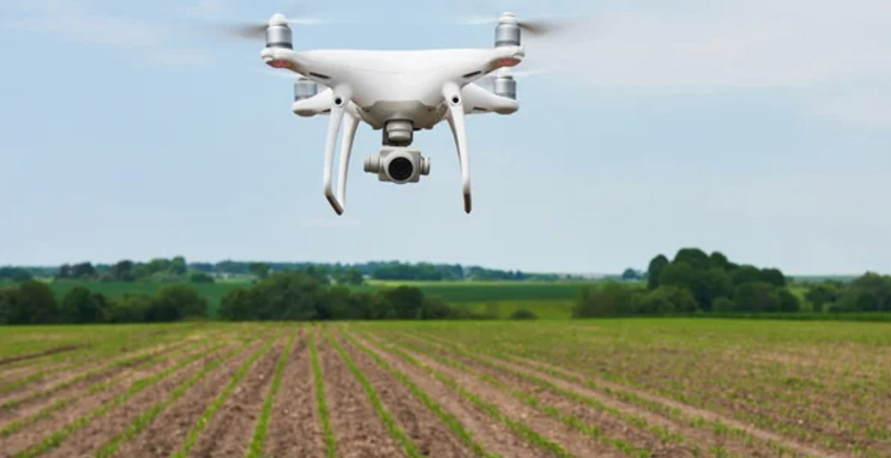 Inteligência artificial: uma revolução no agro