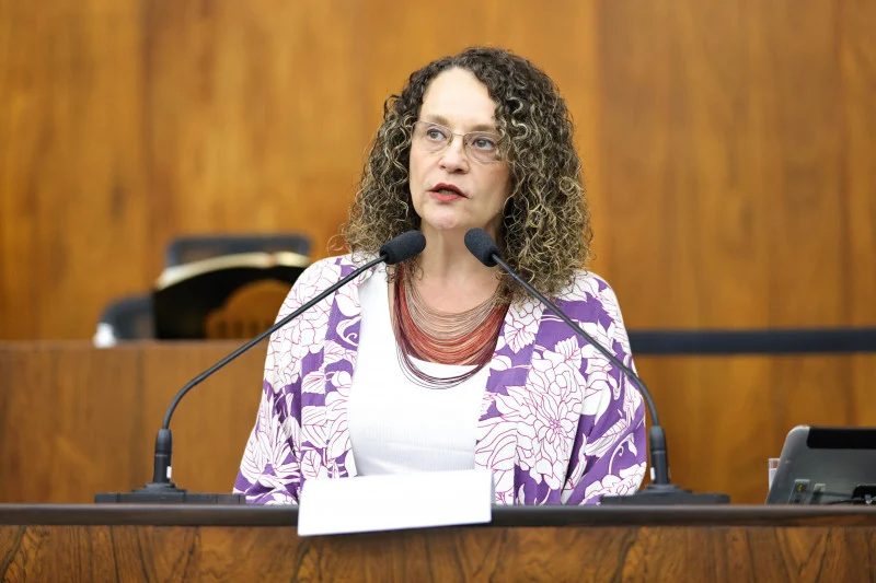 Luciana Genro lidera parcial para deputado estadual em Camaquã