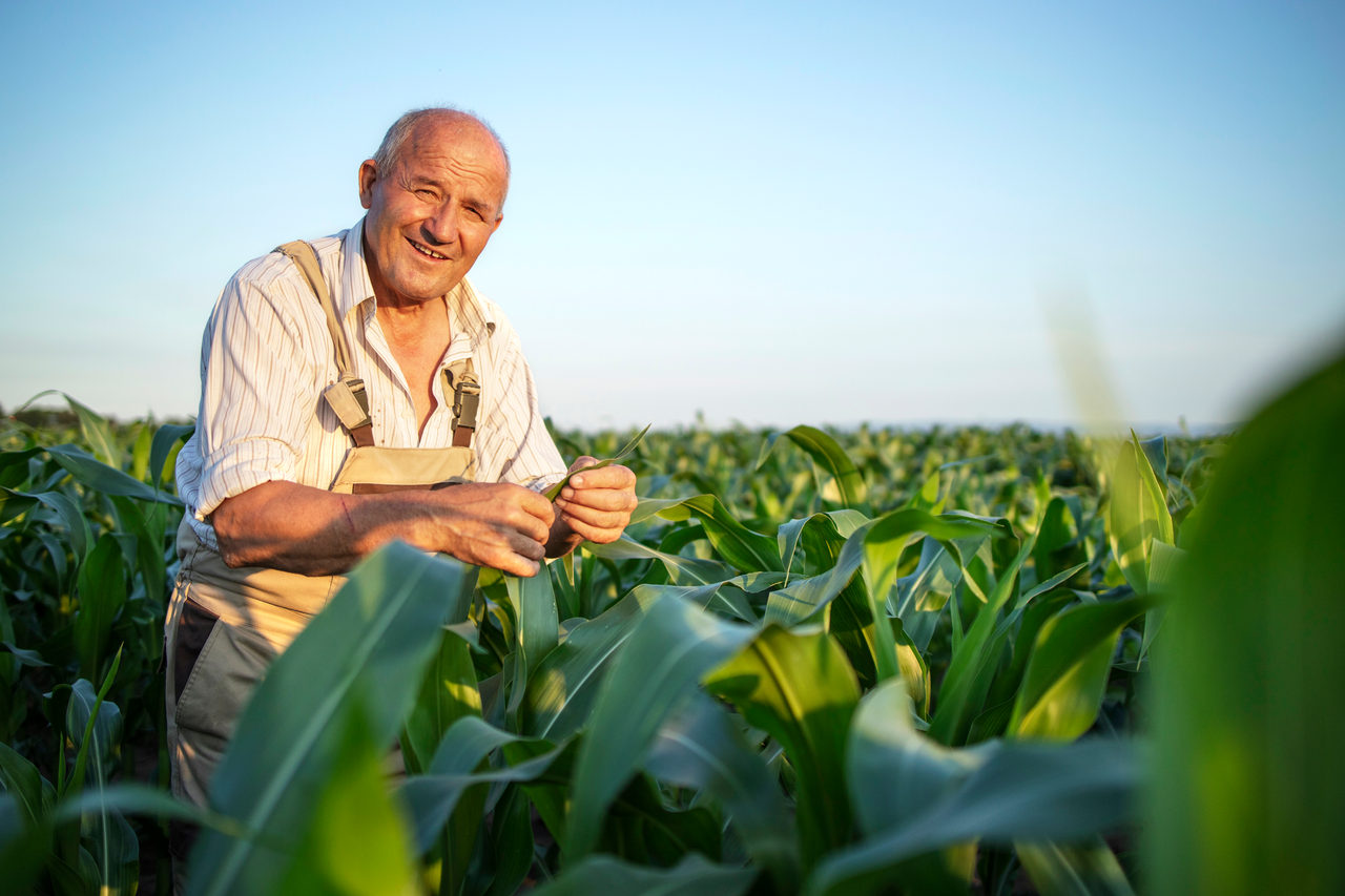 Mais dinheiro para pequenos agricultores de Camaquã