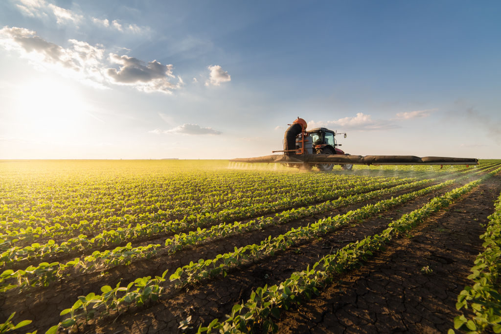Modernização do crédito pode injetar R$ 800 bilhões no agronegócio e impulsionar o Sul