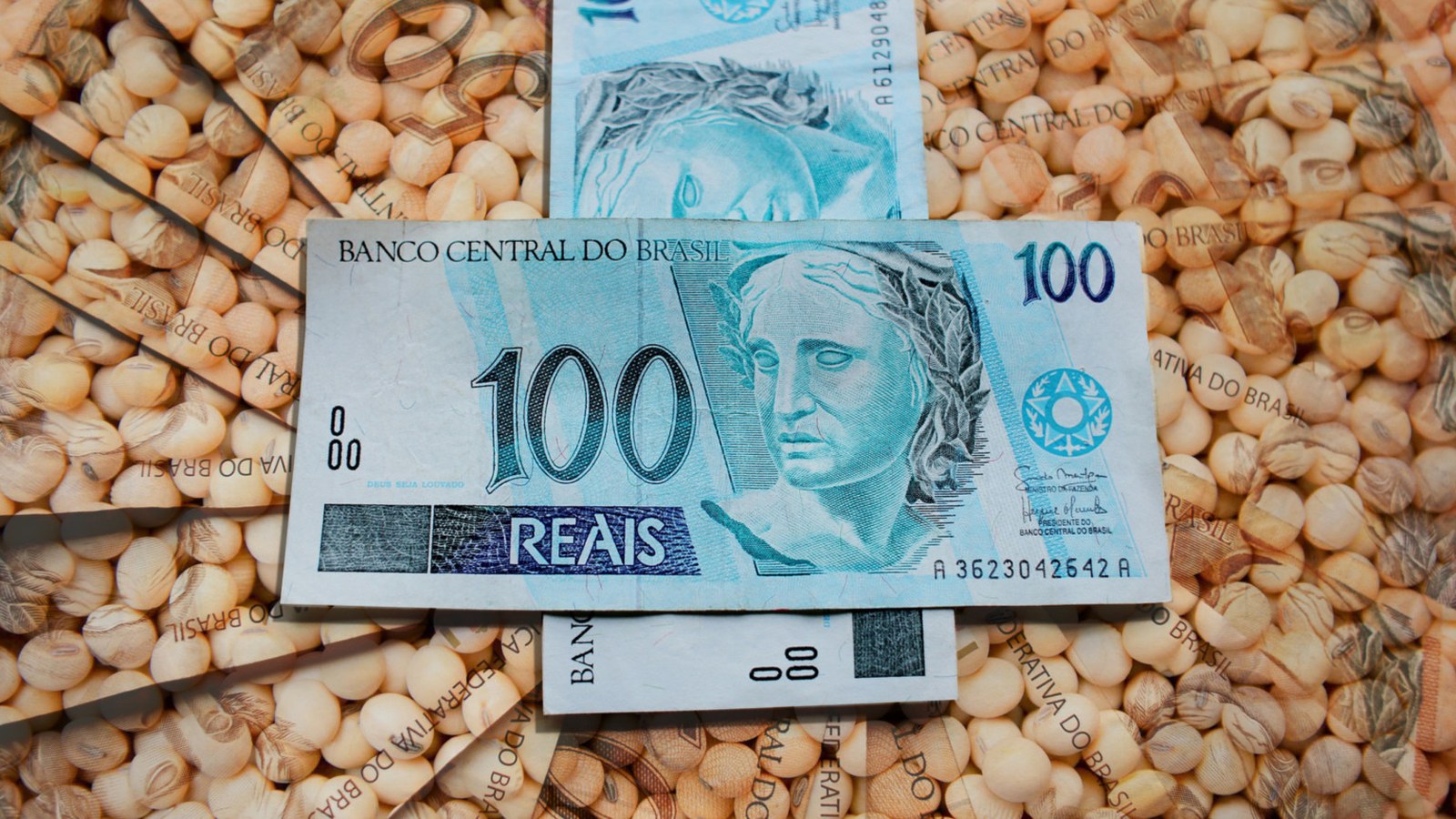 MP do crédito rural cobre só 9,9% da dívida agrícola no RS