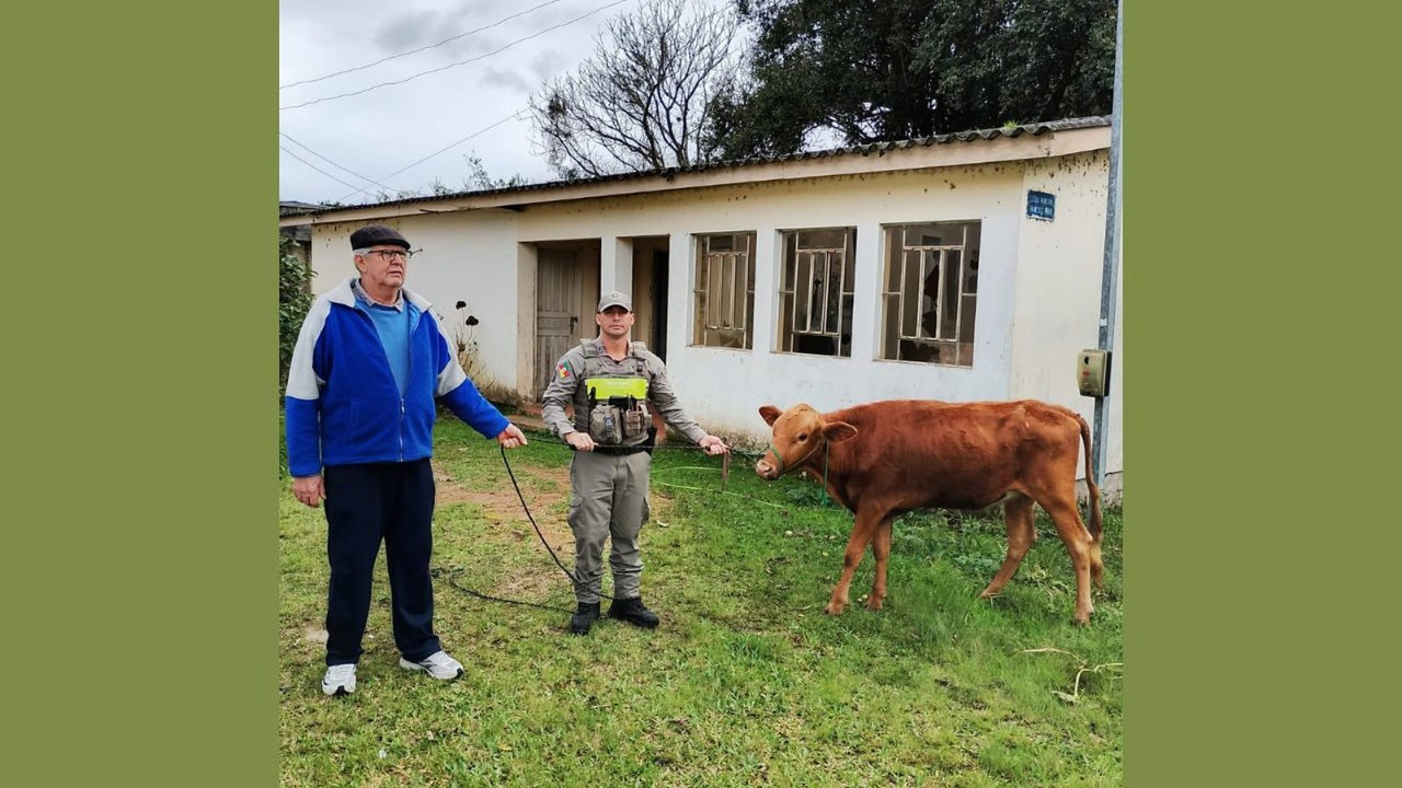 Ação da Brigada Militar recupera animal furtado em propriedade rural de Mariana Pimentel
