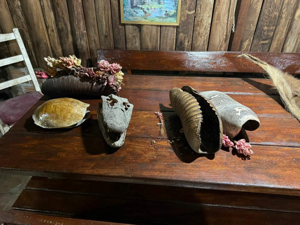 Tráfico de animais na zona sul do Estado