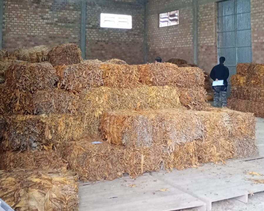 Operação Pica Fumo combate furtos de tabaco e fiscaliza R$ 510 mil em mercadorias em Sentinela do Sul e Cerro Grande do Sul