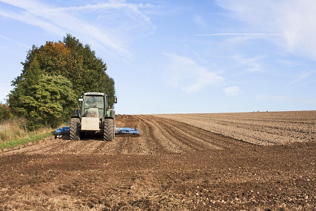 Operação Terra Forte: programa deve injetar R$ 3 milhões na agricultura de Camaquã