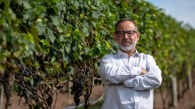 Parceria com a Vinícola Altos Paraiso Vinhedos impulsiona chegada de novas variedades e fortalece a viticultura na Costa Doce