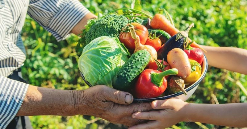 Pavilhão da Agricultura Familiar vende R$ 2,3 milhões nos dois primeiros dias da Expointer