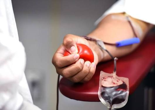 Pelotas lança campanha para ampliar doação de sangue entre servidores