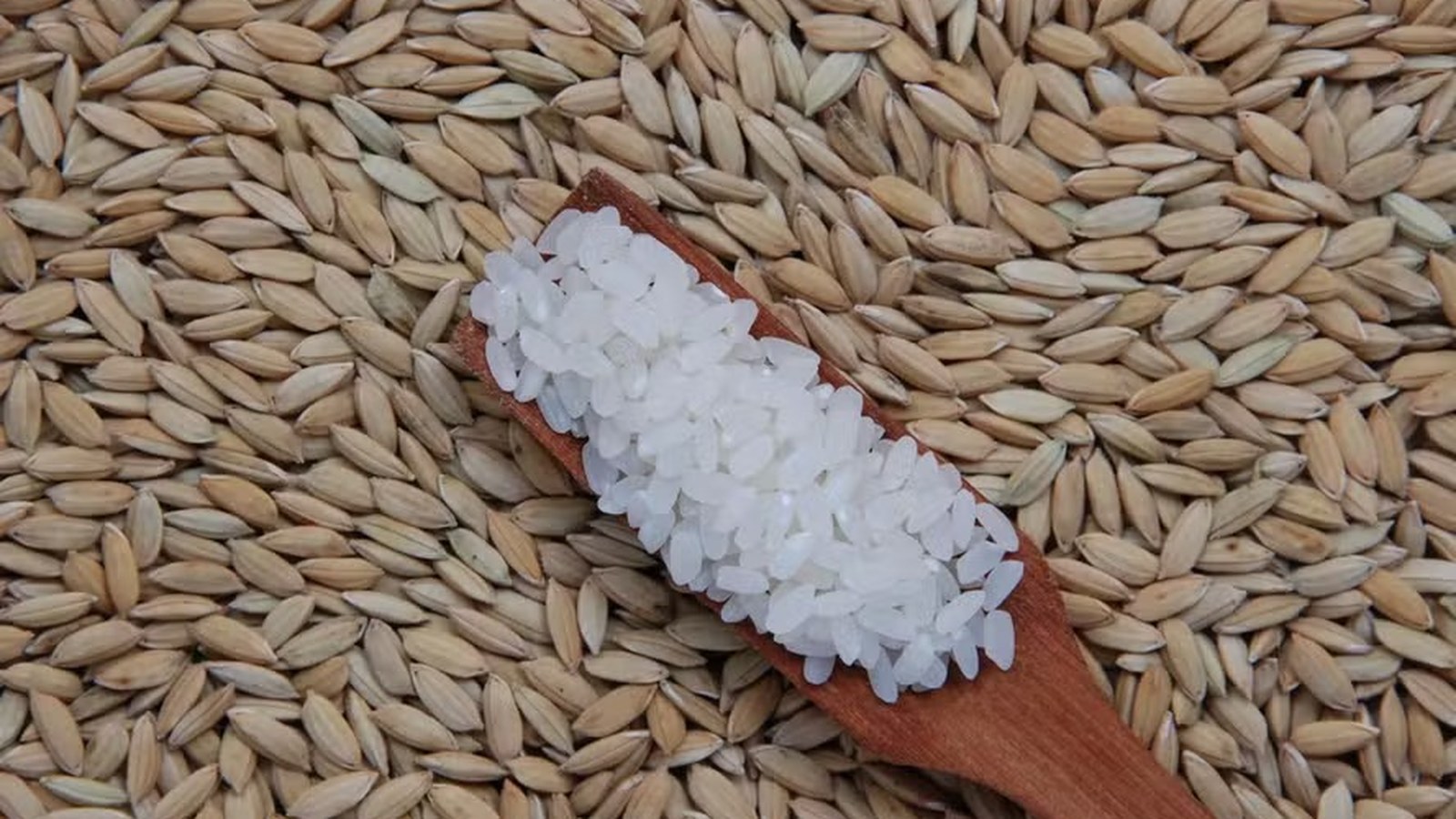 Preço do arroz sobe 14% em agosto e chega a R$ 78 no RS