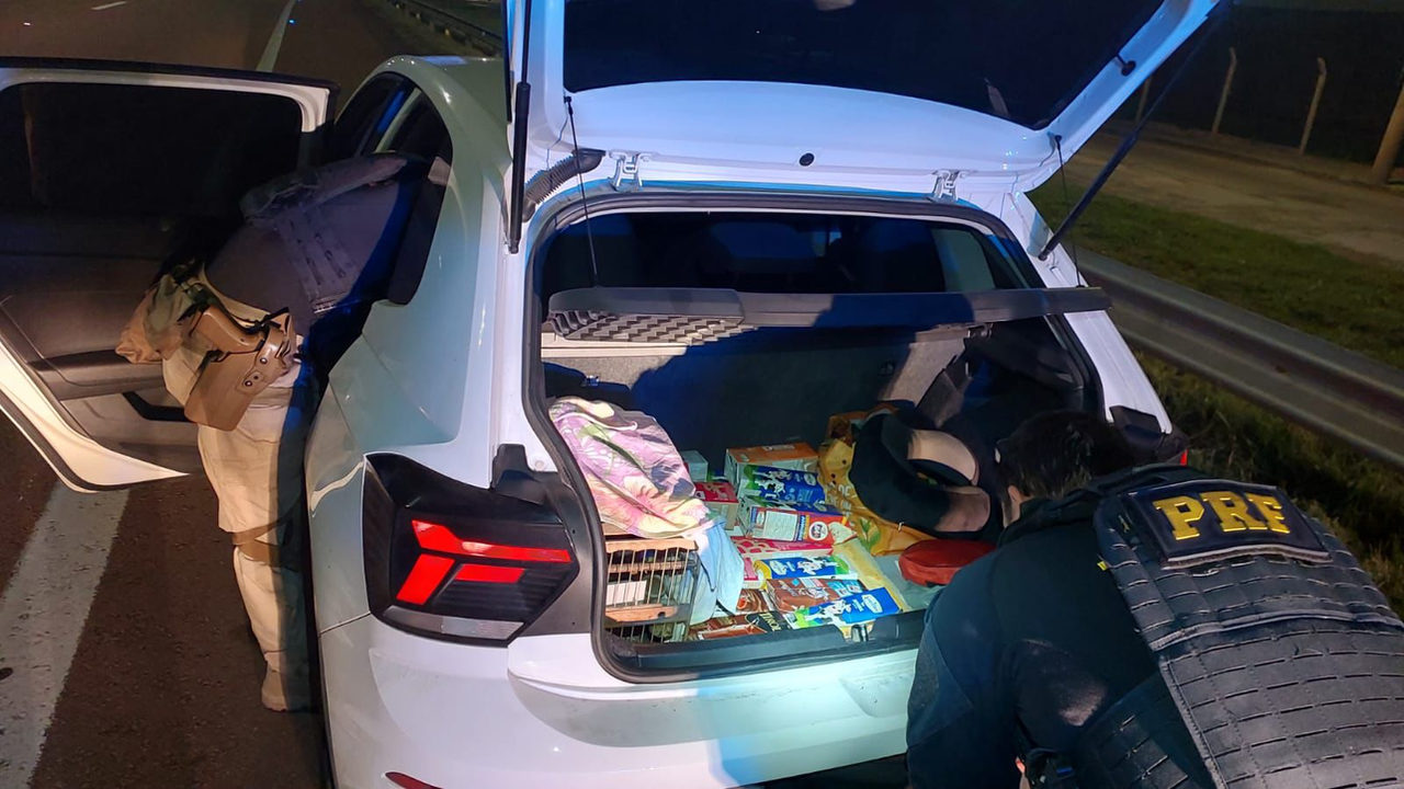 PRF resgata mais de 30 aves silvestres e prende homem por maus-tratos na BR-290