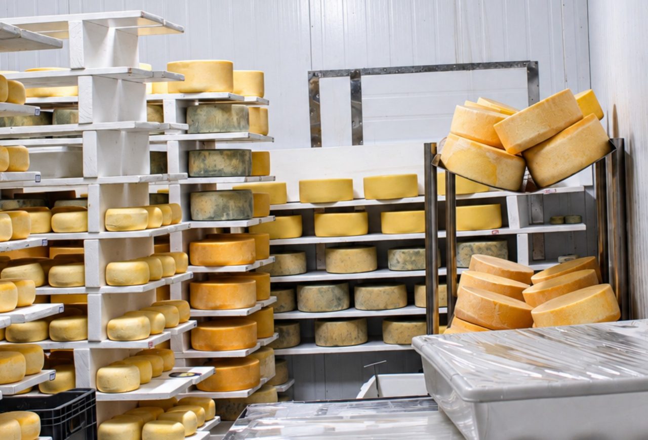 Produção de leite cresce no RS, mas importações pressionam pequenas indústrias