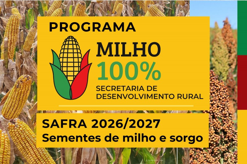 Programa Milho 100% abre inscrições em Camaquã para apoiar produtores rurais da Costa Doce