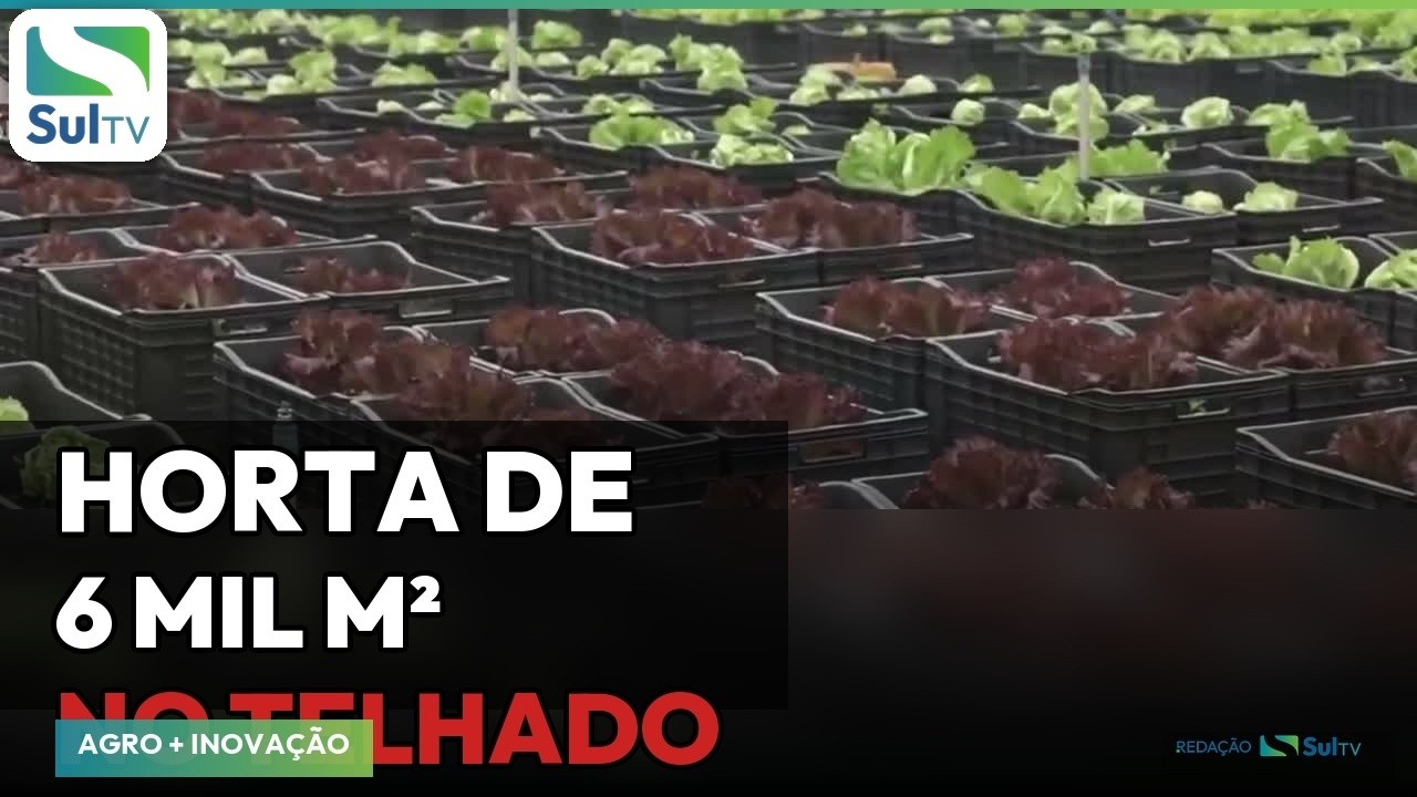 Shopping de São Paulo transforma telhado em horta de 6 mil m²
