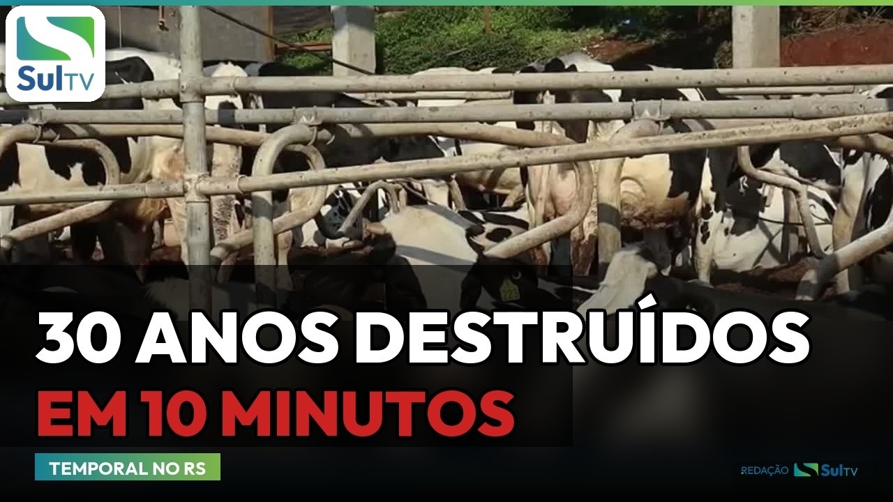 Reprodução/Canal Rural/SulTV