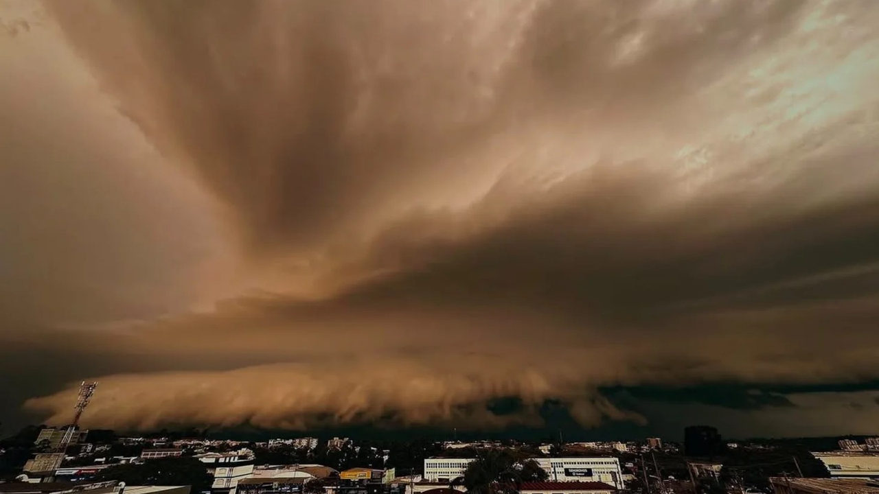 Temporal destrói galpão e árvores em Não-Me-Toque, no RS