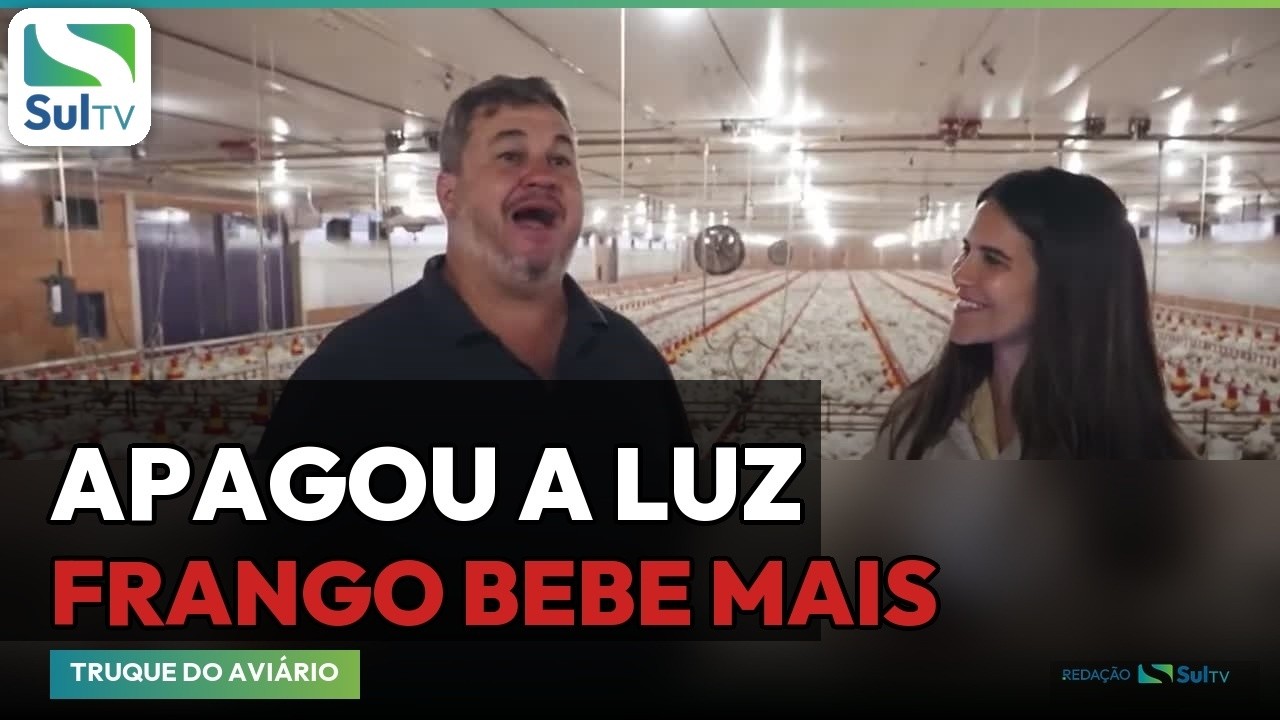 Reprodução/SulTV