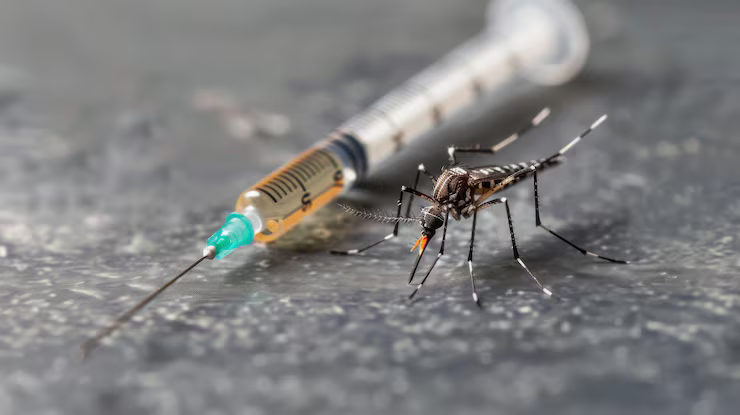 Vacina contra a dengue chega a Camaquã: veja quem pode tomar e onde ir