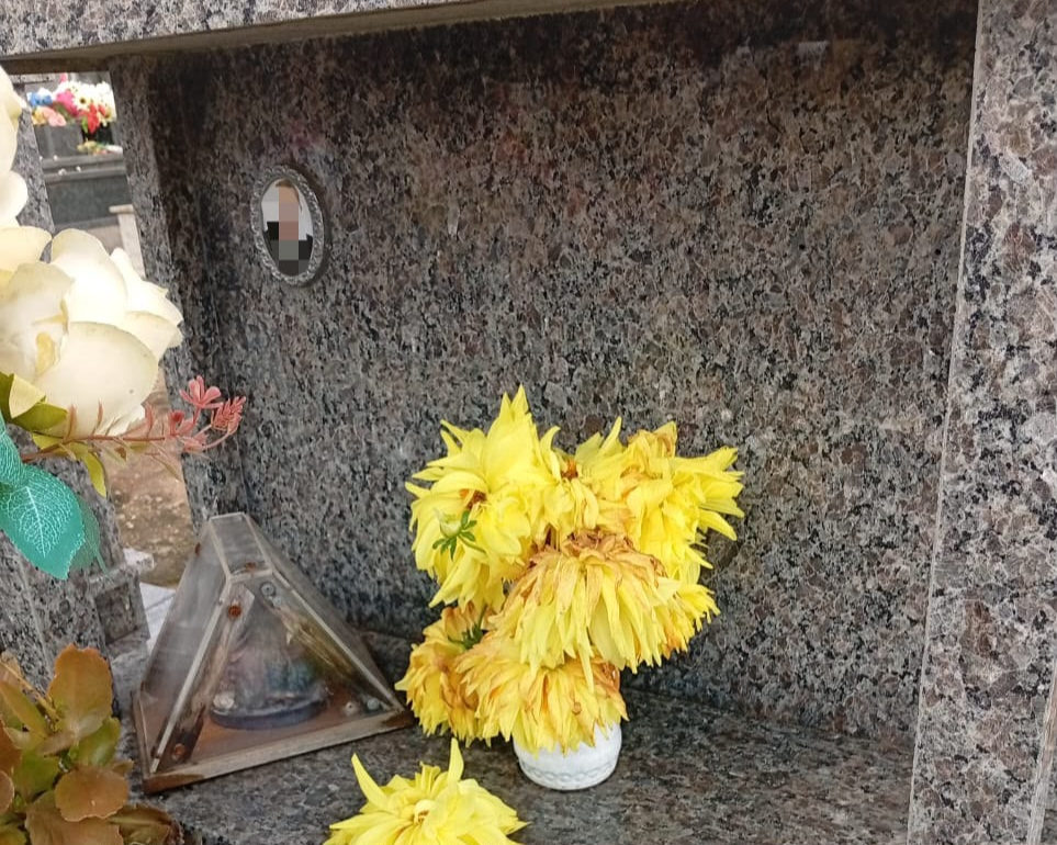 Criminosos vandalizam cerca de 200 túmulos em Camaquã