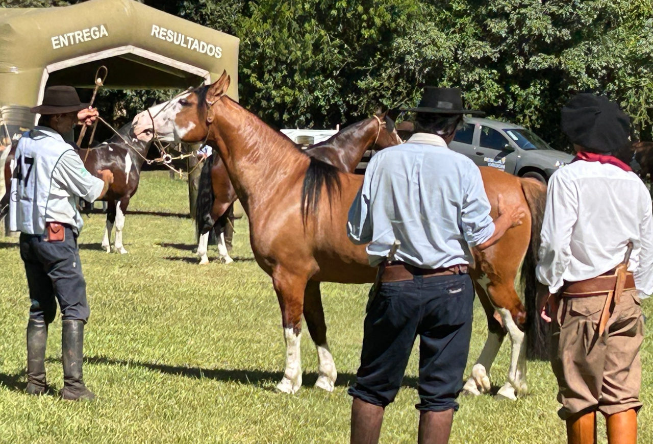 Égua Catarinense conquista o bicampeonato na 21ª edição do Mancha Crioula em Guaíba